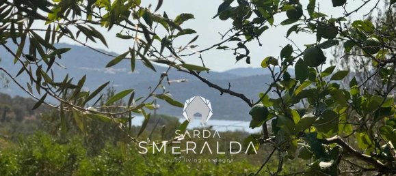 5 chambres Villa à Olbia, Italy No. 355818 19