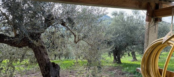 7850m² Land in Moscufo, Italy No. 343611 2