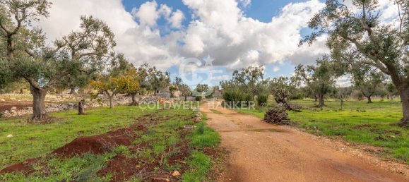 3 bedrooms House in Carovigno, Italy No. 108635 9