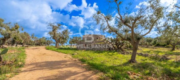 3 bedrooms House in Carovigno, Italy No. 108635 10