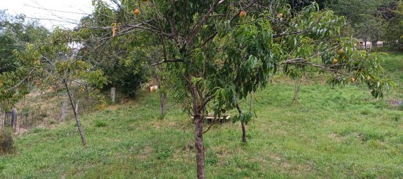 4 bedrooms House in San Martin del Rey Aurelio, Spain No. 174252 7