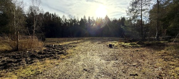 4غرفة منزل في Celle, Germany رقم 153214 14