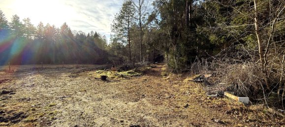 4غرفة منزل في Celle, Germany رقم 153214 15