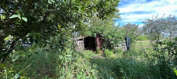 8-Zimmer Haus in Castiglione del Lago, Italy, Nr. 125036 9