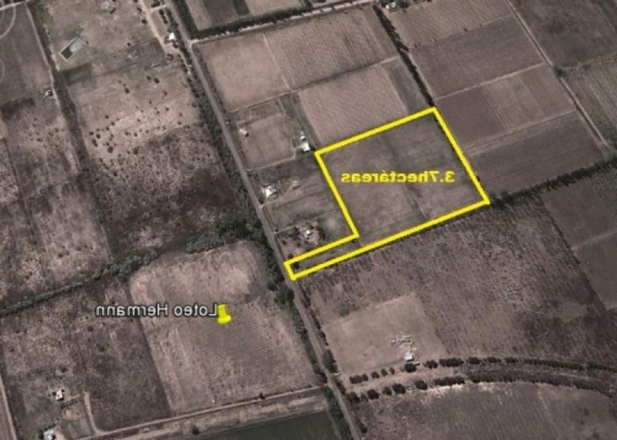 Terreno em Mendoza, Argentina N.º 45018