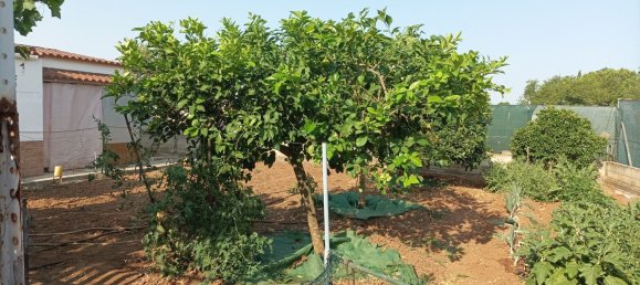 Casa de 2 dormitorios en El Higuerón, Spain No. 159384 37