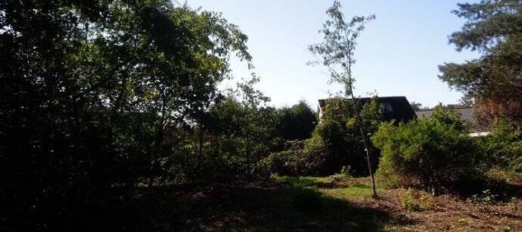 Bungalow de 4 habitaciónes en Celle, Germany No. 176250 7