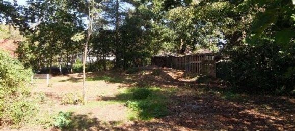 Bungalow de 4 habitaciónes en Celle, Germany No. 176250 5