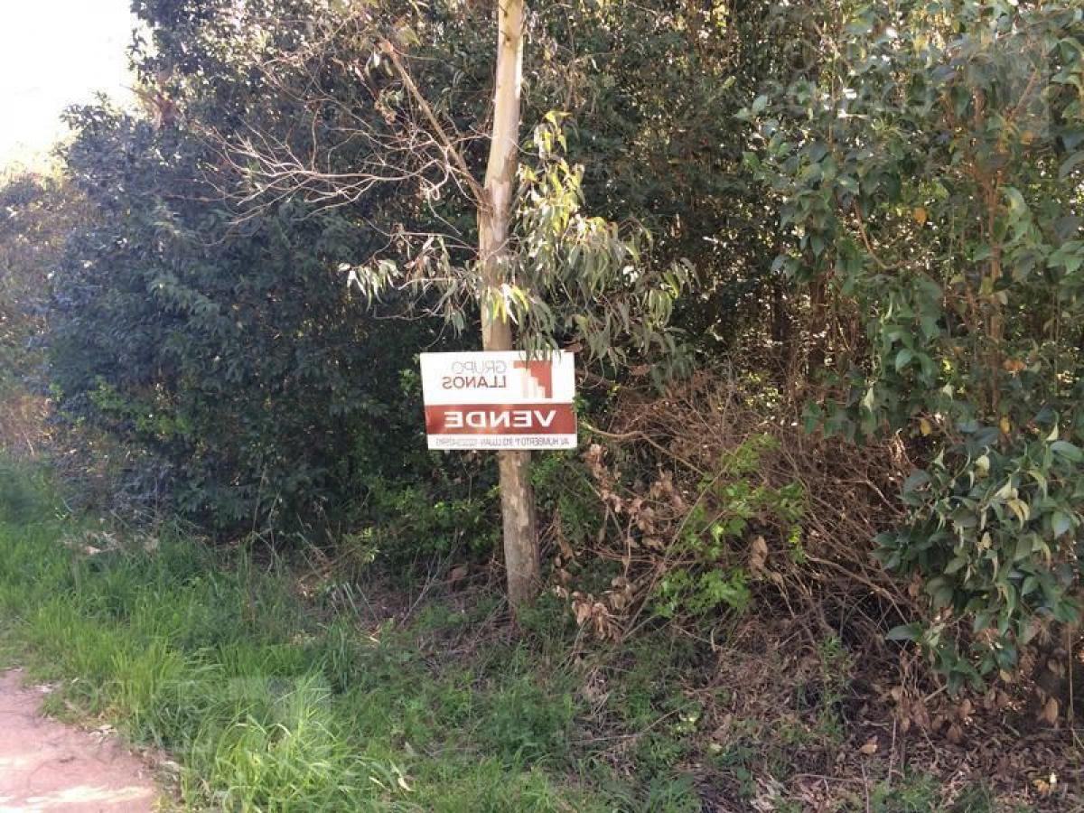  Land in Lujan, Argentina No. 50350