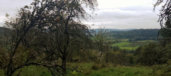 Terrain à Rems-Murr-Kreis, Germany No. 346620 6