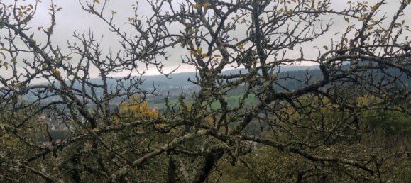 Terrain à Rems-Murr-Kreis, Germany No. 346620 5