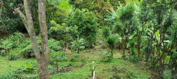 4 bedrooms House in Grecia, Costa Rica No. 520 3