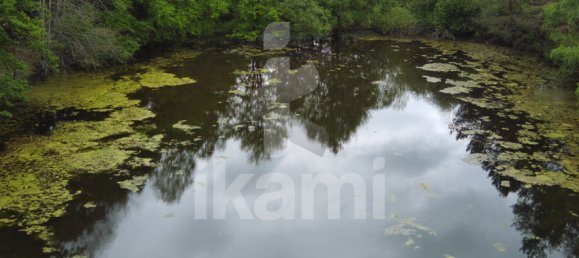 Castillos de 5 dormitorios en Salbris, France No. 62881 14