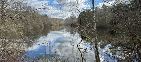 Castillos de 5 dormitorios en Salbris, France No. 62881 11