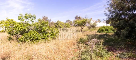قطعة أرض في Almancil, Portugal رقم 190479 7