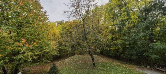 8-salle Maison à Hinterbruhl, Austria No. 244363 40