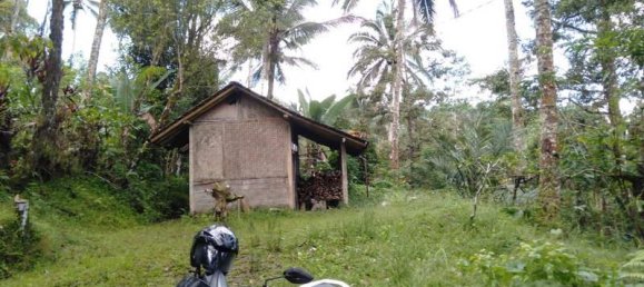  قطعة أرض في Tabanan, Indonesia 6200متر مربع رقم 4356 7
