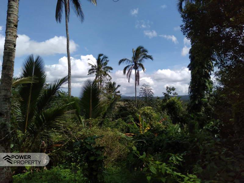  قطعة أرض في Tabanan, Indonesia 6200متر مربع رقم 4356