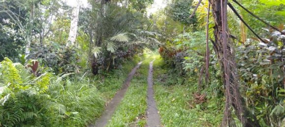  قطعة أرض في Tabanan, Indonesia 6200متر مربع رقم 4356 4