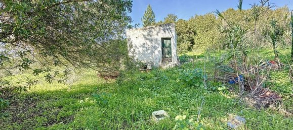 Grundstück in Sesimbra, Portugal, Nr. 127855 8