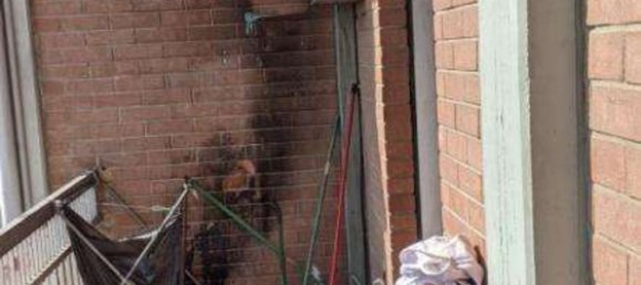 9 bedrooms Apartment in Carpi, Italy No. 347662 32