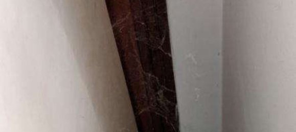 9 bedrooms Apartment in Carpi, Italy No. 347662 30