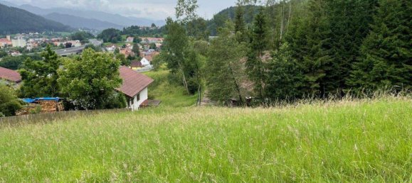  Land in Kindberg, Austria No. 88194 3