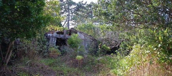 1 chambre Maison à Sao Roque do Pico, Portugal No. 44210 3