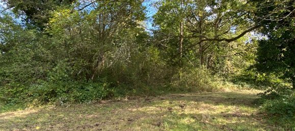 4 bedrooms House in Lorris, France No. 246935 3