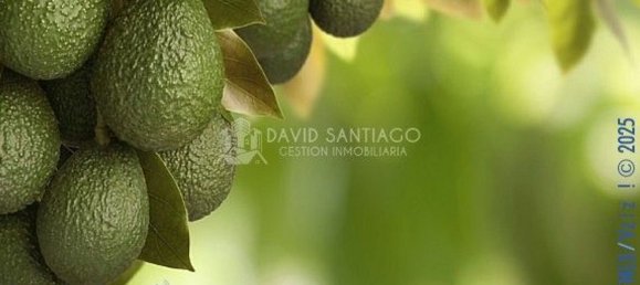 9000m² Land in Velez-Malaga, Spain No. 33827 2