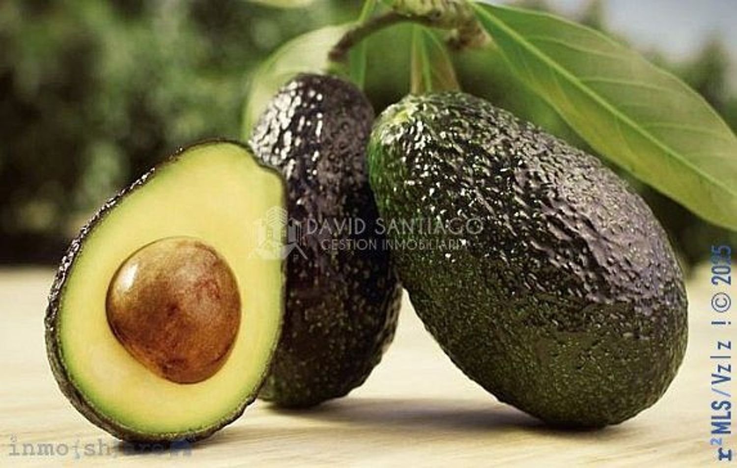 9000m² Land in Velez-Malaga, Spain No. 33827