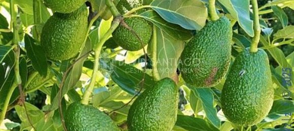 9000m² Land in Velez-Malaga, Spain No. 33827 3