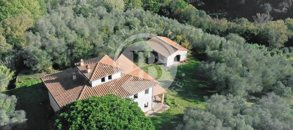 5 bedrooms House in Palaia, Italy No. 56899 6