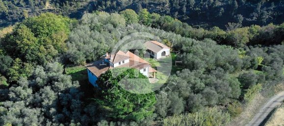 5 bedrooms House in Palaia, Italy No. 56899 5