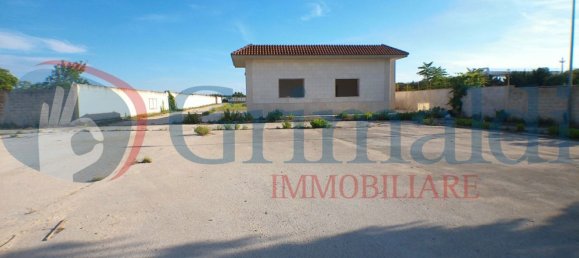  مستودع في Trani, Italy 1116متر مربع رقم 362788 10