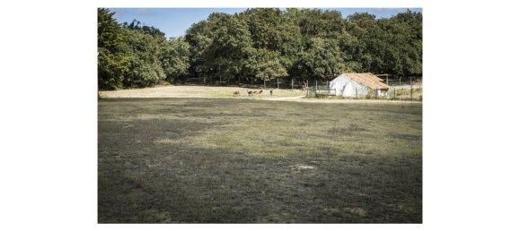 8 bedrooms Land in Obidos, Portugal No. 109287 14