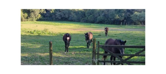 8 bedrooms Land in Obidos, Portugal No. 109287 42