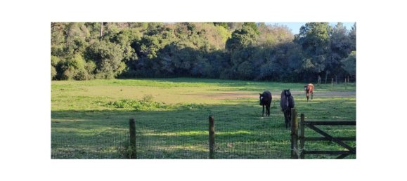 8 bedrooms Land in Obidos, Portugal No. 109287 44