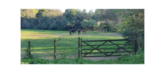 8 bedrooms Land in Obidos, Portugal No. 109287 46