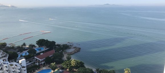 Studio-Eigentumswohnung in The Palm Wongamat Beach Pattaya, Thailand, Nr. 32778 10