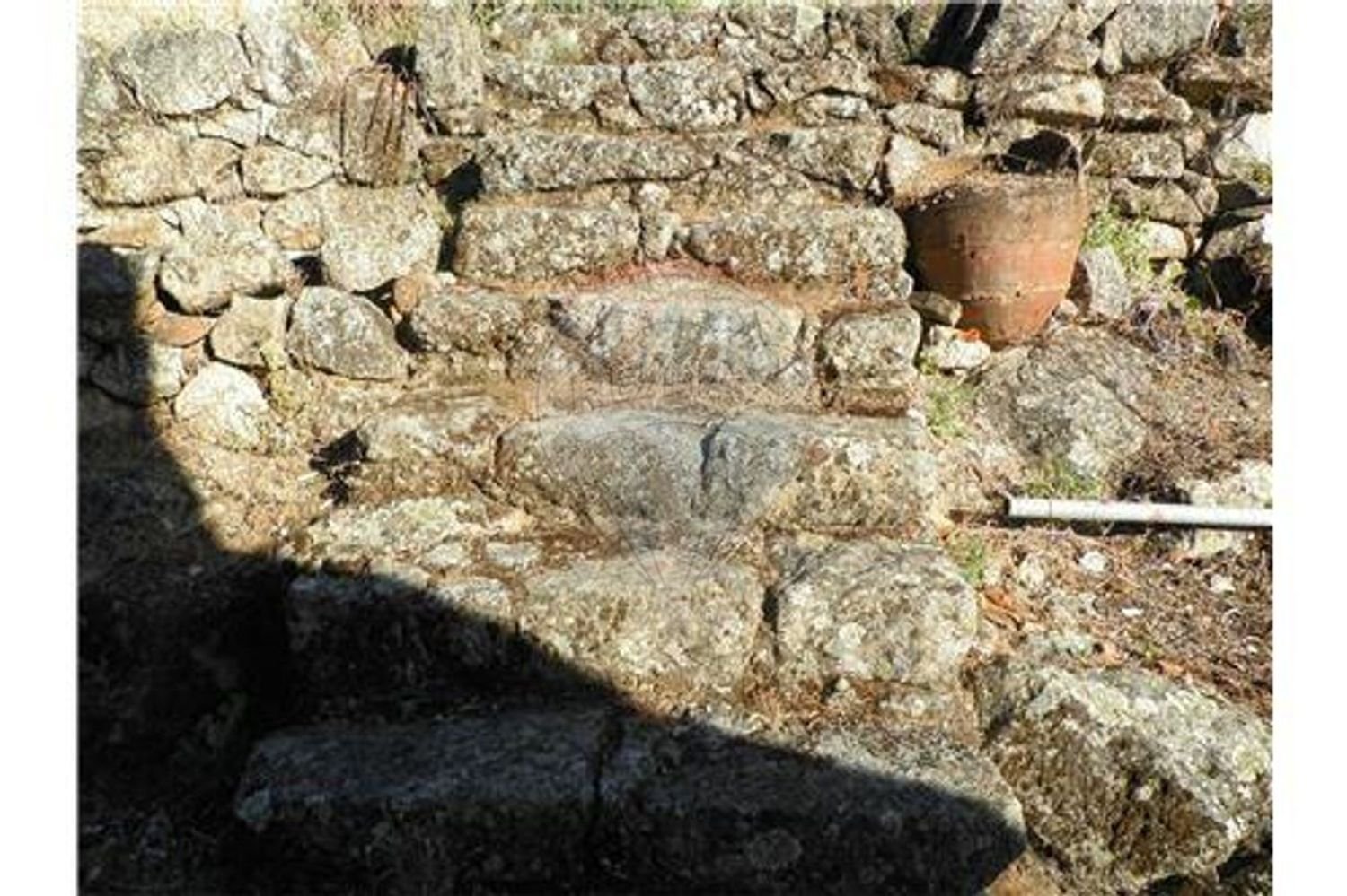 3 chambres Maison à Castelo Branco, Portugal No. 168125