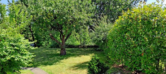 4-salle Maison de ville à Kassel, Germany No. 304402 9
