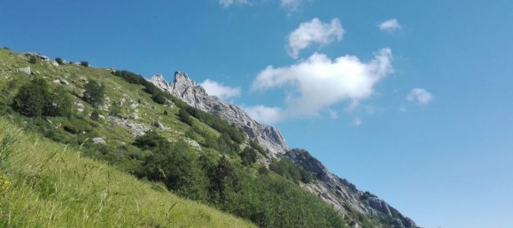 Büro in Carrara, Italy 36m², Nr. 47010 13