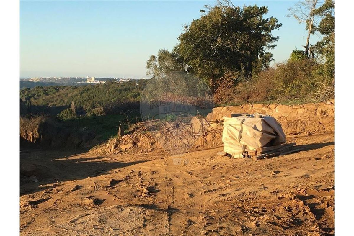 Grundstück in Cela, Portugal 9400m², Nr. 61966