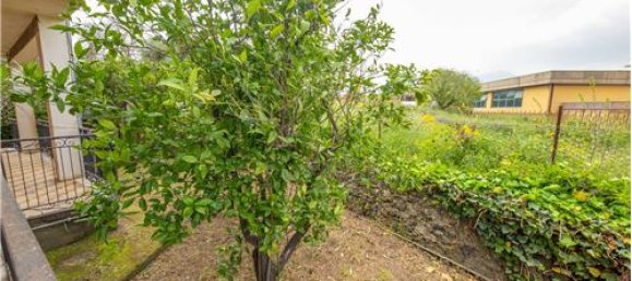 3 chambres Villa à Mascalucia, Italy No. 304806 28