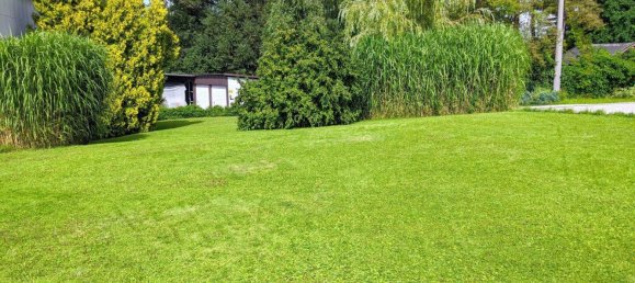 Entrepôt à Pichl bei Wels, Austria 406m² No. 218053 30