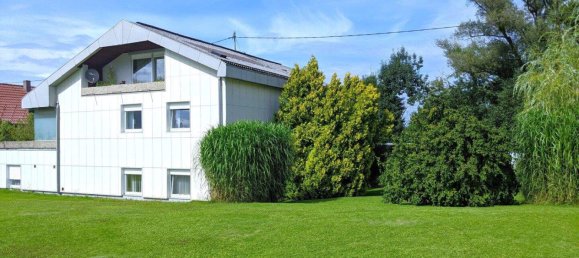 Entrepôt à Pichl bei Wels, Austria 406m² No. 218053 31