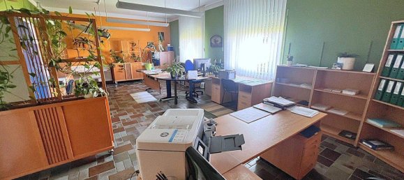 Entrepôt à Pichl bei Wels, Austria 406m² No. 218053 26