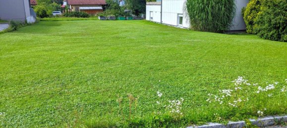 Entrepôt à Pichl bei Wels, Austria 406m² No. 218053 29