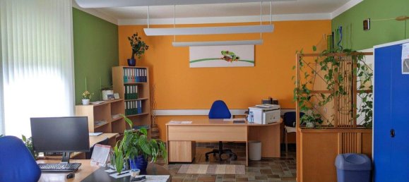 Entrepôt à Pichl bei Wels, Austria 406m² No. 218053 27